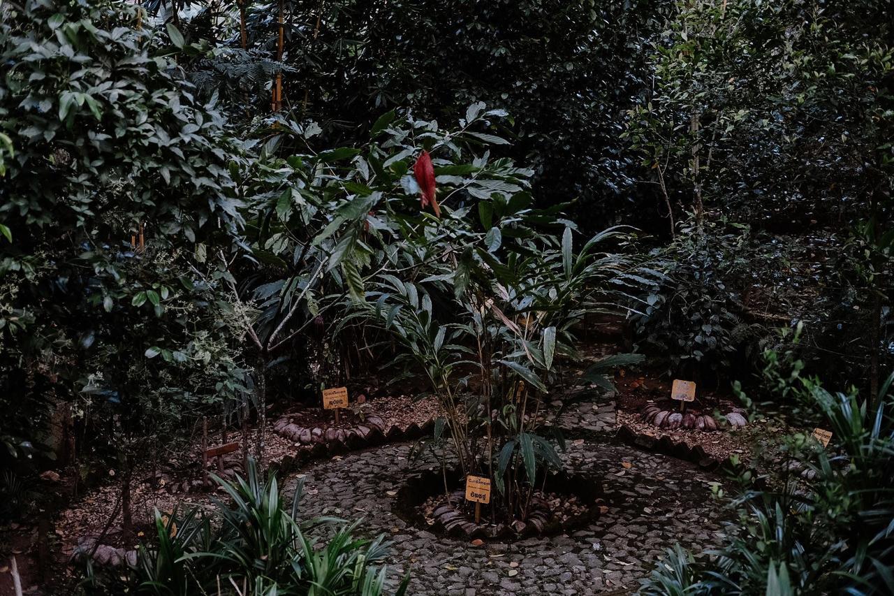 WhatsApp Image 2025-01-24 at 5.46.41 AM (7)